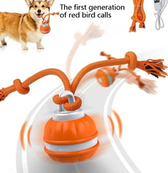 Interactive Pet Rolling Ball Toy USB Rechargeable